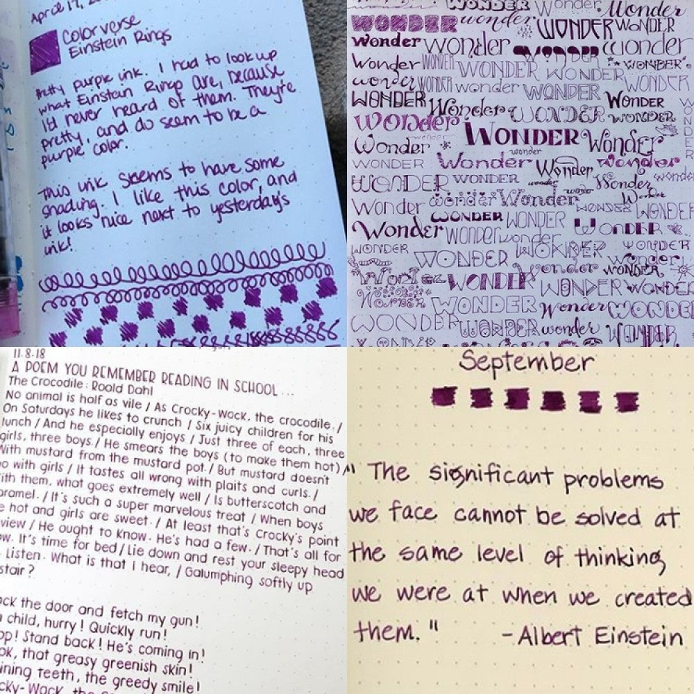 Colorverse | Spaceward Series | Season 1 | Fountain Pen Ink | Einstein Ring | Purple | 65ml and 15ml | 2 Bottle Set - penpencilink