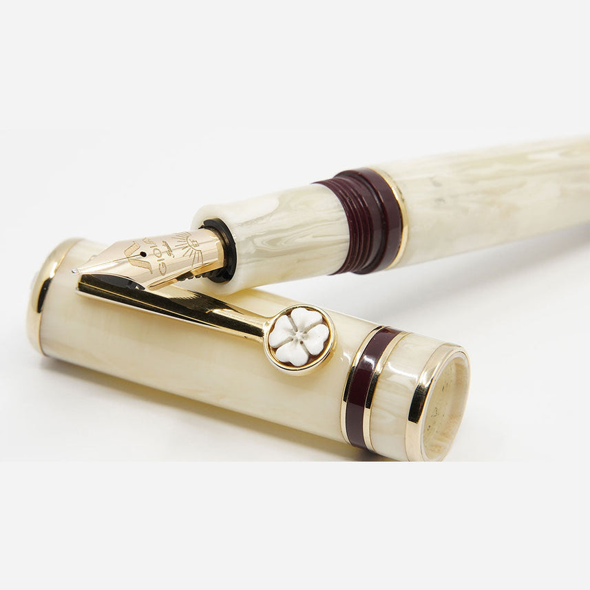 Gioia | Cameo | Special Edition | Medium Nib Fountain Pen