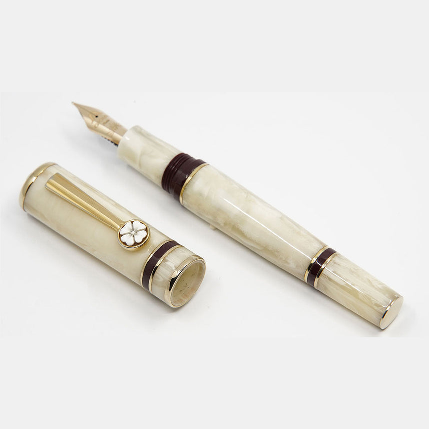 Gioia | Cameo | Special Edition | Medium Nib Fountain Pen