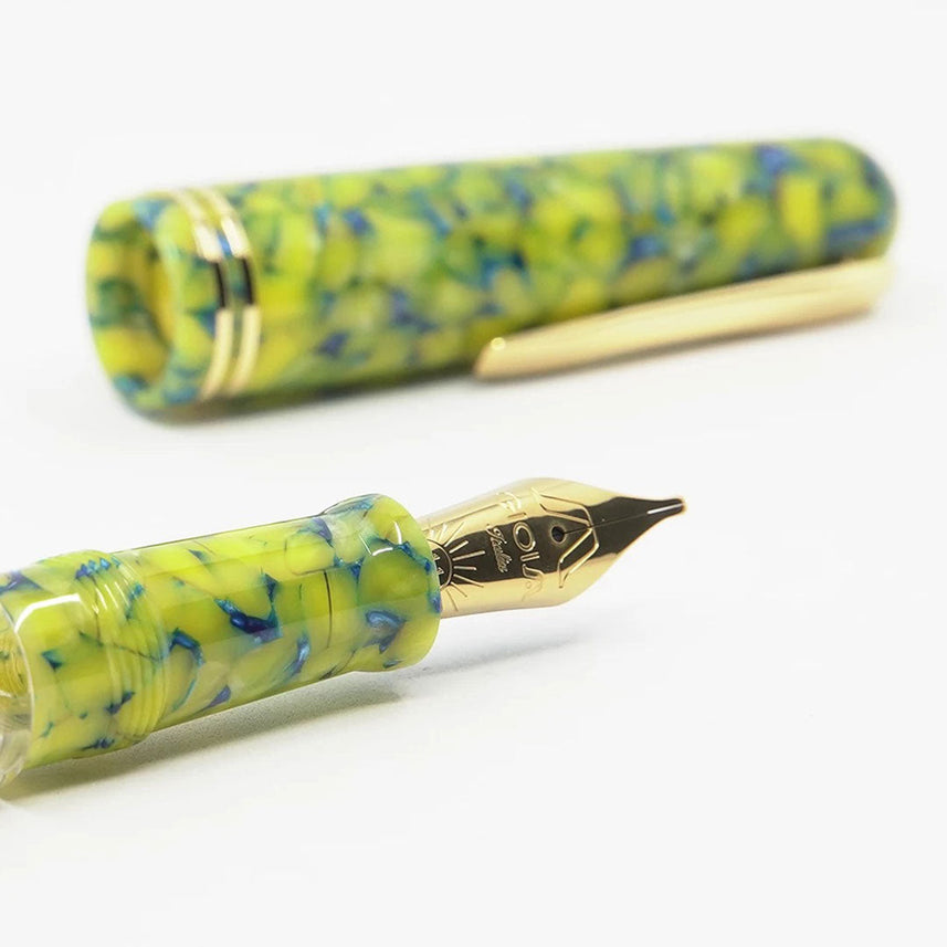 Gioia | Metis Fountain Pen | Colibri | Gold Trims | Stub Nib