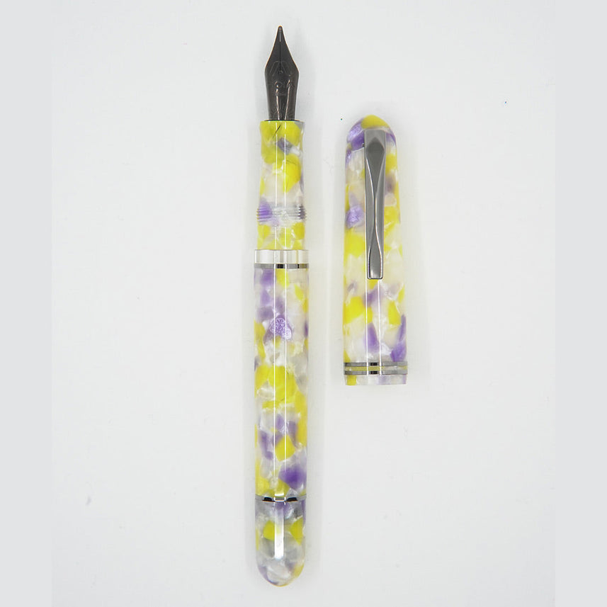 GIOIA Metis Colibri Viola Fountain Pen – Ruthenium Trim