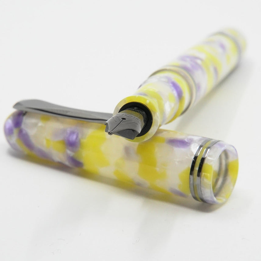 GIOIA Metis Colibri Viola Fountain Pen – Ruthenium Trim
