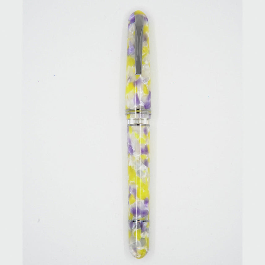 GIOIA Metis Colibri Viola Fountain Pen – Ruthenium Trim