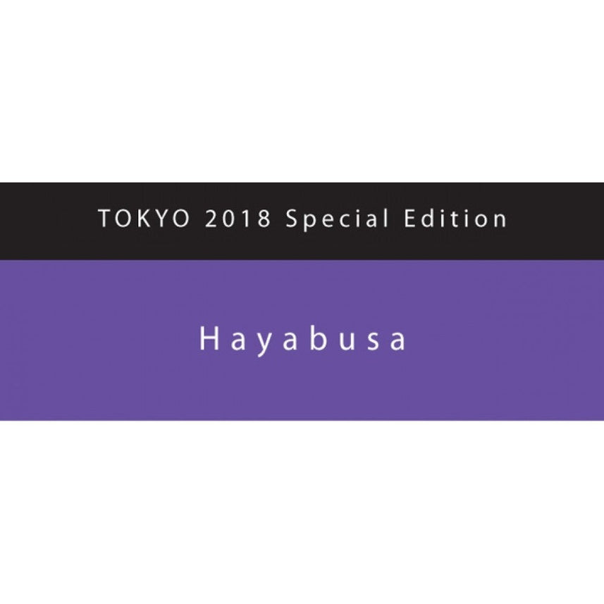 Colorverse | Hayabusa | Fountain Pen Ink | Special Edition | Purple | 65ml and 15ml | 2 Bottle Set - penpencilink