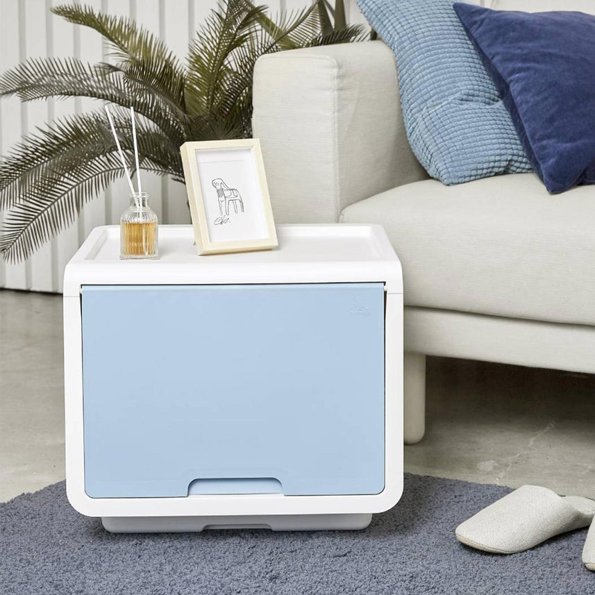 Litem | Multi Utility Storage  Box |Organizer  | Mint | Roomax Cube Plus | For Office & Home