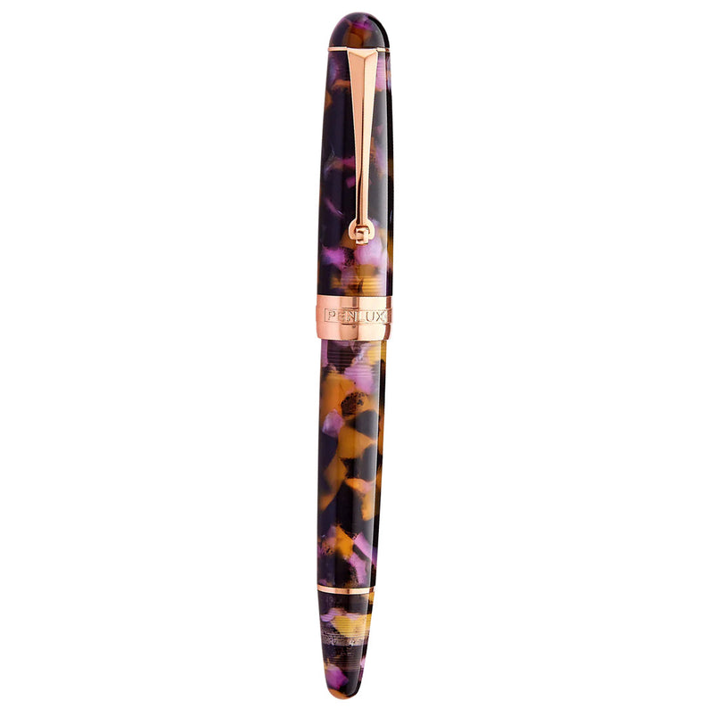 Penlux | Masterpiece Delgado | Fountain Ink Pen | Euploea | Brown Black | Piston Filling