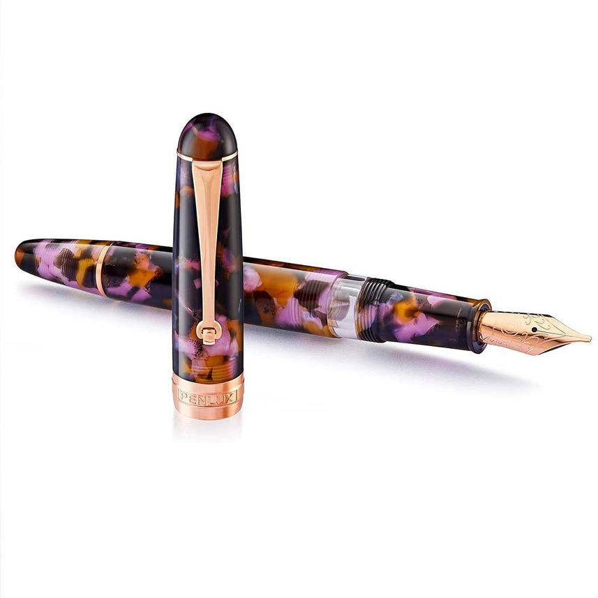 Penlux | Masterpiece Delgado | Fountain Ink Pen | Euploea | Brown Black | Piston Filling