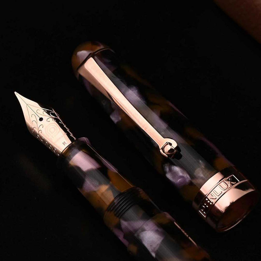 Penlux | Masterpiece Delgado | Fountain Ink Pen | Euploea | Brown Black | Piston Filling