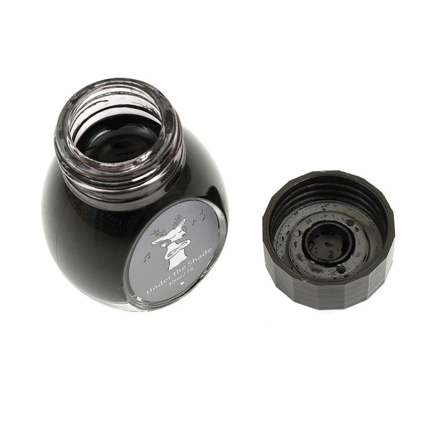 Colorverse | Joy | Ink Bottle | Ordinary Earth Edition | Under The Shade | 30ml - penpencilink