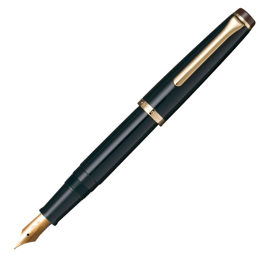 Lecle fountain pen